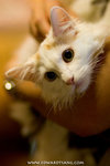 _MG_2266-2