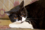 _MG_2283-2