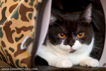 _MG_2319-2