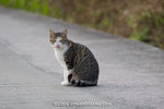 _MG_5813-2
