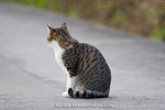 _MG_5814-2