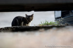 _MG_5820-2