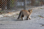 _MG_5834-2