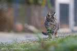 _MG_5842-2
