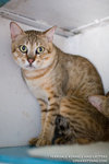 _MG_3367-2