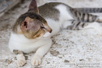 _MG_3415-2