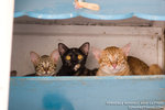 _MG_3422-2