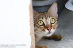 _MG_3473-2