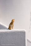 _MG_4750-2