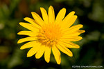 _MG_4779-2