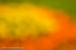 _MG_4809-2