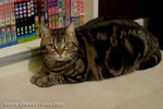 _MG_7260-2
