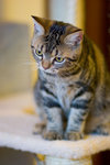 _MG_8858-2