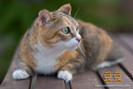 _MG_4569-2