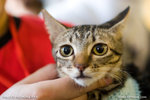 _MG_1032-2
