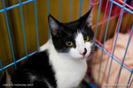 _MG_1042-2
