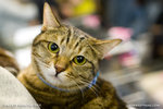 _MG_1047-2