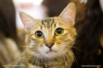 _MG_1049-2