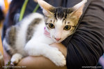 _MG_1060-2