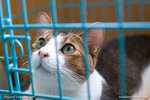 _MG_1071-2