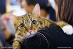 _MG_1092-2