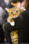 _MG_1104-2