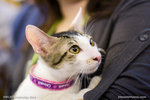 _MG_1111-2