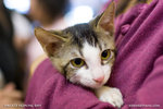 _MG_1142-2