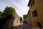 _MG_8768-2