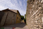 _MG_8769-2