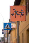 _MG_8784-2