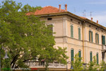 _MG_8790-2