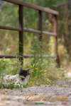 _MG_8799-2