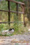 _MG_8800-2
