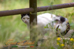 _MG_8801-2