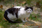 _MG_8805-2