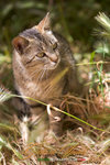 _MG_8902-2