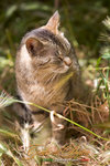 _MG_8903-2