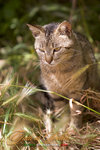 _MG_8904-2
