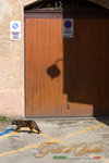 _MG_9012-2
