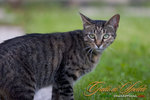 _MG_9021-2