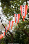 _MG_0800-2