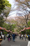 _MG_0970-2