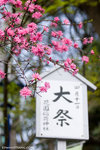 _MG_0975-2