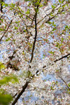 _MG_1016-2