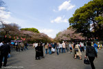 _MG_1025-2