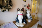 _MG_0144-2