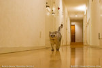 _MG_0125-2