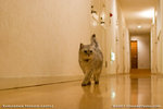 _MG_0129-2