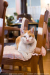 _MG_0151-2